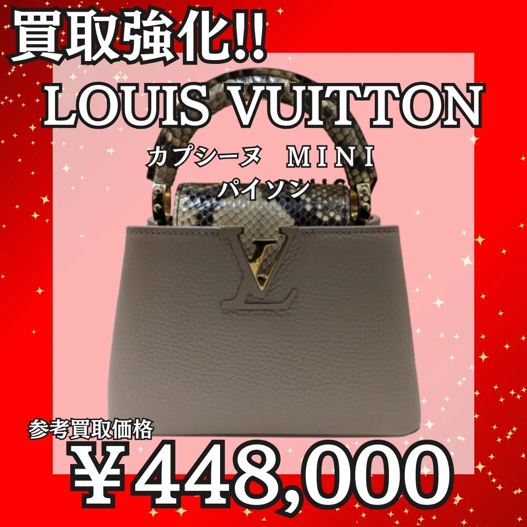 LOUIS VUITTONのカプシーヌMINIパイソンを、な...